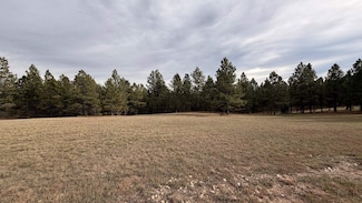 TBD W Argyle Rd Unit Shields Tract3, Custer, SD 57730