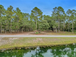 Lot 130 Sapelo Park Dr NE, Townsend, GA 31331