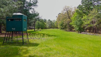 0 Tbd Fm 315, Larue, TX 75770