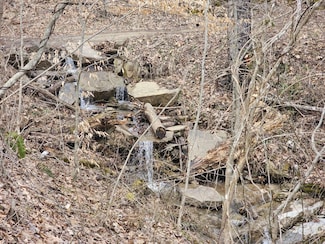 0 Bobs Run, Dawson, WV 24910