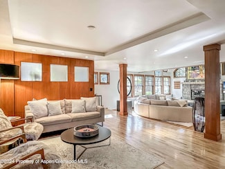 602 W Hallam St, Aspen, CO 81611