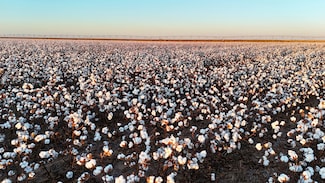 0 Cr 40, Plainview, TX 79072