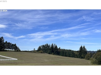 0 Canaan Rd Unit 158917480, Deer Island, OR 97054