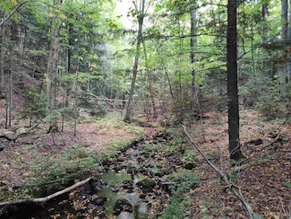 80 Acres Lost Creek Dr, Marquette, MI 49855