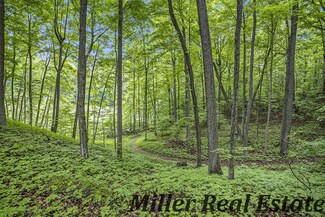 1874 Yeckley V L Rd, Hastings, MI 49058