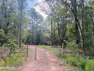 0 Richard Reeves Rd, Lucedale, MS 39452