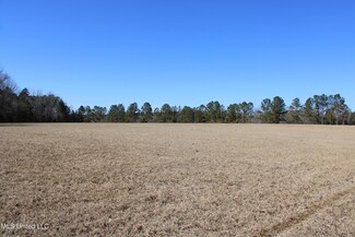 0 Savannah Lake Rd Unit 4008365, Mantee, MS 39751