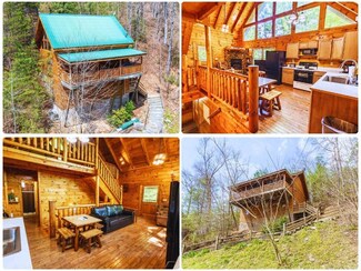 1005 Beach Hollow Ct, Sevierville, TN 37876