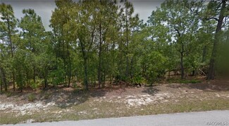 4337 N Pink Poppy Dr, Pine Ridge, FL 34465