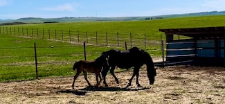 00 34th St SE, Saddle Butte, MT 59501