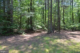 Lot 255 Armed Forces Dr, Cople, VA 22520