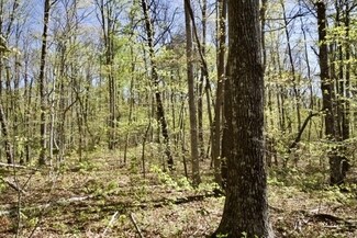 0 Whiteoak Swamps Rd, Dunlap, TN 37327