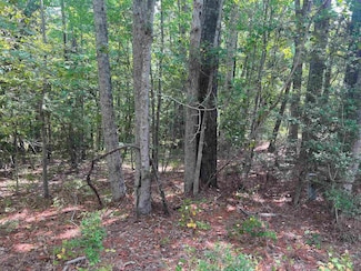 57 Shank Dr, Brookeland, TX 75931