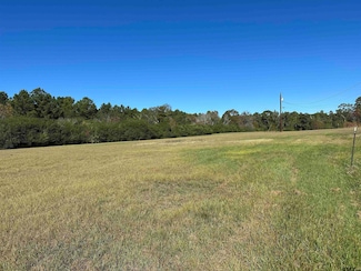 14B  / TBD Old Spanish Trial Dr, Alto, TX 75925