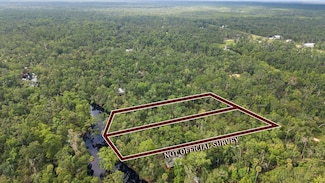 2338 Ancient Oaks Rd, Steinhatchee, FL 32359