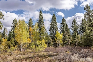 2819 NE Sagehen Dr, Island Park, ID 83429