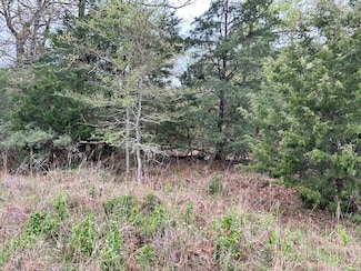 TBD Fcr 537, Fairfield, TX 75840