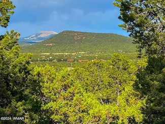 7 3184 Unit 3184, Vernon, AZ 85940