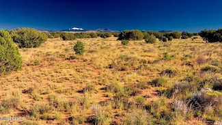 2807 S Goldenrod Dr, Williams, AZ 86046