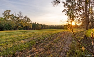 1 Moore Rd, Grady, AL 36036