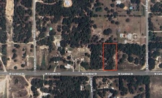 4829 W Cardinal St, Homosassa Springs, FL 34446