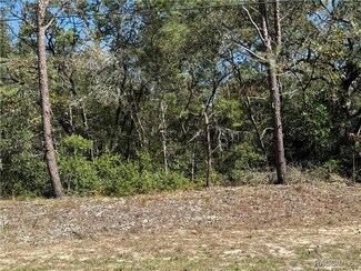 8103 N Gatewood Dr, Citrus Springs, FL 34433