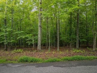 1.79 Ridge Rd, Blue Ridge, GA 30513