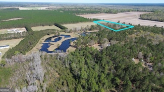 680 Porter's Landing Rd Unit LOT 1, Clyo, GA 31303