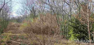 TBD1 Gorman Ave, Ontonagon, MI 49953