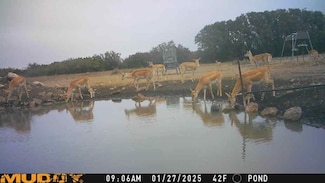 527 Sd 74100, Rocksprings, TX 78880