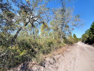 0 County Line Rd Unit 19597151, Lee, FL 32059