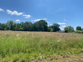 1.07 Acres N Orchard Blvd, Fair Grove, MO 65648