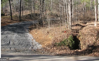 #68 Summerwood Ln, Young Harris, GA 30582