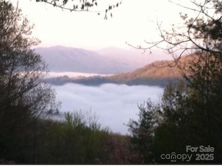 000 Fox Ridge Trail, Marion, NC 28752