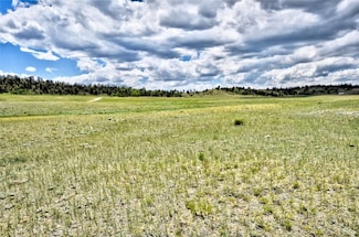 0 Black Hawk Rd Unit S1051092, Hartsel, CO 80449