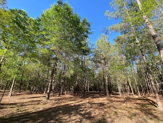 309 Exploration Rd, Willis, TX 77378