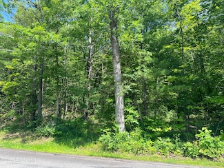 L20.1 Vosenkill Rd, Athens, NY 12015