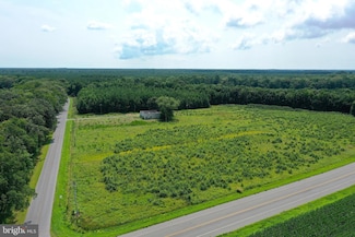 1637 Dun Swamp Rd, Pocomoke City, MD 21851