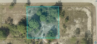 220 Palmacea Rd, Fort Myers, FL 33905
