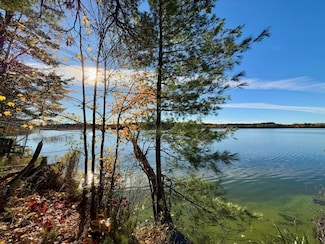 7917 Jansen Rd, Minocqua, WI 54548