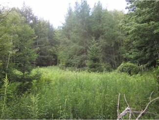 Lot 1 Fellows Rd, Guildhall, VT 05905