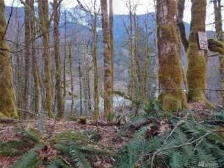 53 Mountain Loop Hwy, Darrington, WA 98241