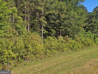 0 Charlie B Johnston Rd Unit 10516440, Hogansville, GA 30230