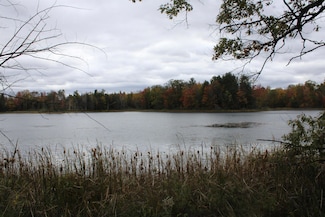 0 Island Lake Rd Unit 50299305, Mountain, WI 54149