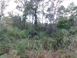 167 Jay Cir, Sebring, FL 33872