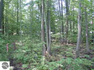 0 Duck Lake Dam Rd Unit E 1703790, Grawn, MI 49637