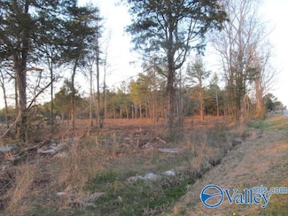 1 Razorback Way, Albertville, AL 35951
