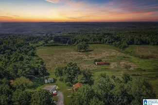 250 Runway Dr, Hayden, AL 35079