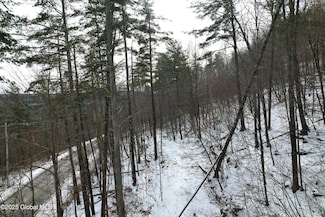 L1 Bear Ladder Rd, West Fulton, NY 12194