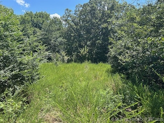 0 N Cottonwood Rd, Roland, OK 74954